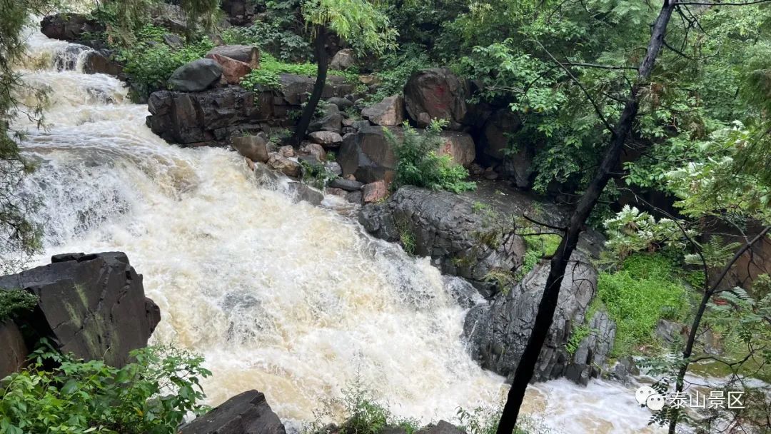 泰山奇石介绍_泰山奇石_泰山奇石河神150万