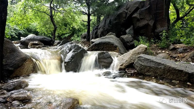 泰山奇石河神150万_泰山奇石_泰山奇石介绍