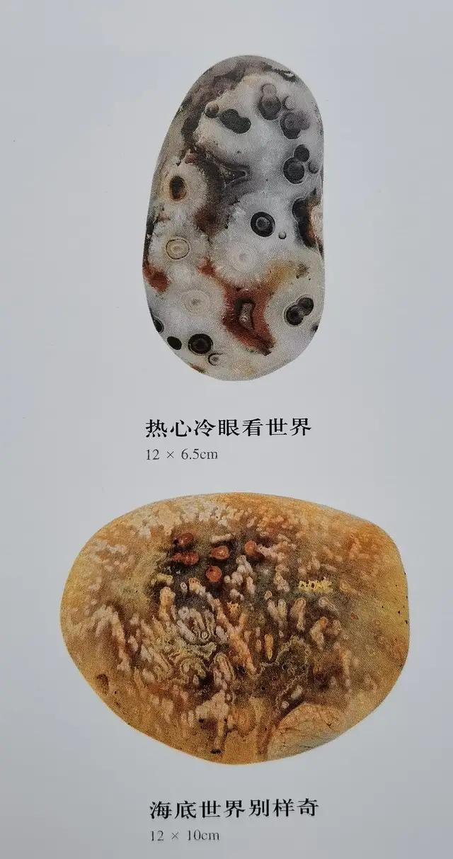 小鸡出壳奇石价格_奇石的价格_奇石价格和图片