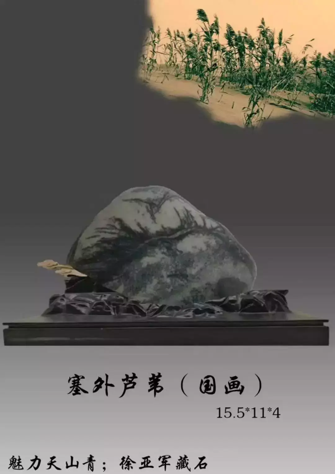 天山奇石图片大全_最贵的天山青奇石_天山青奇石价格