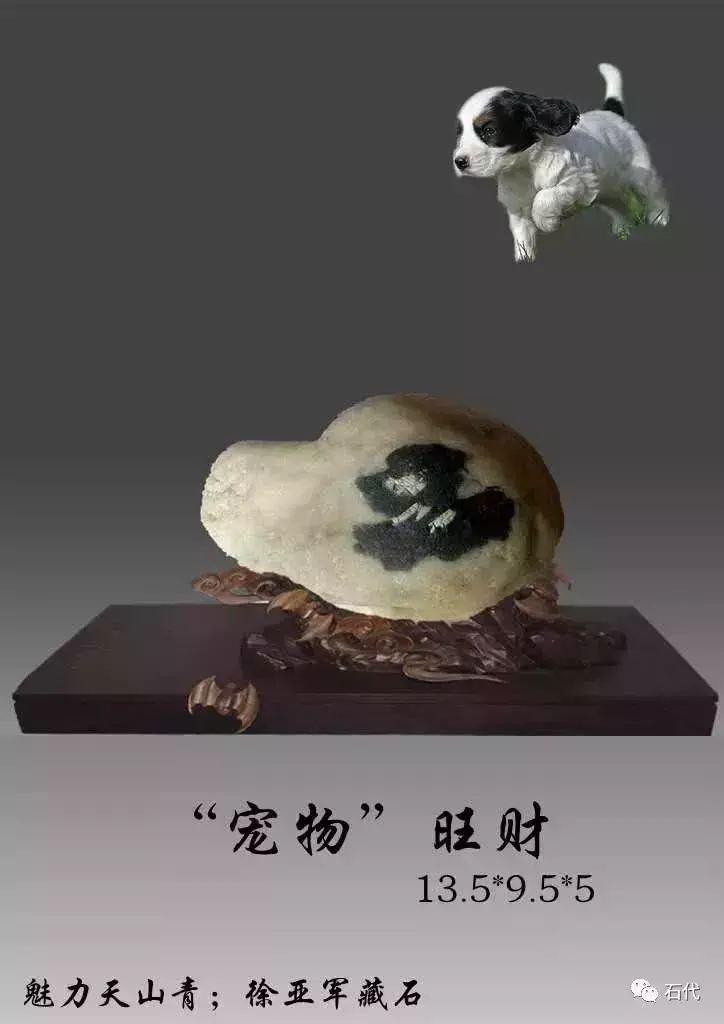 天山青奇石价格_最贵的天山青奇石_天山奇石图片大全