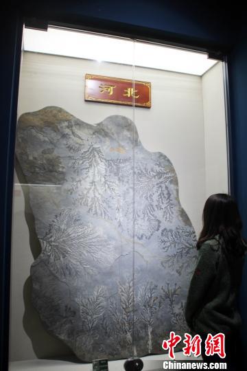 1300多方珍贵奇石在河北易县展出引关注(图)