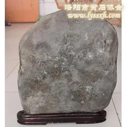 纯天然奇石_天然奇石网_天然奇石交易网