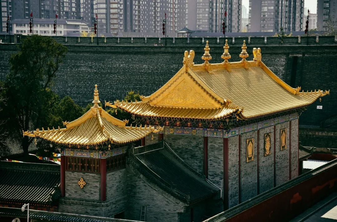 馆博物奇石盆景图片大全_奇石盆景博物馆_奇石博物馆征集精品石头