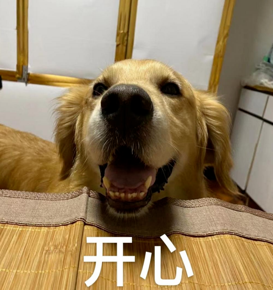 奇石盆景博物馆_奇石博物馆征集精品石头_馆博物奇石盆景图片大全