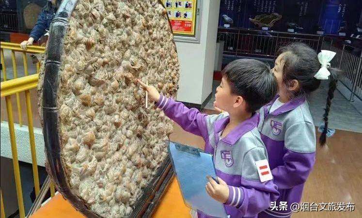 中国最顶级奇石博物馆_中国哪家博物馆收藏奇石化石_国家级奇石博物馆