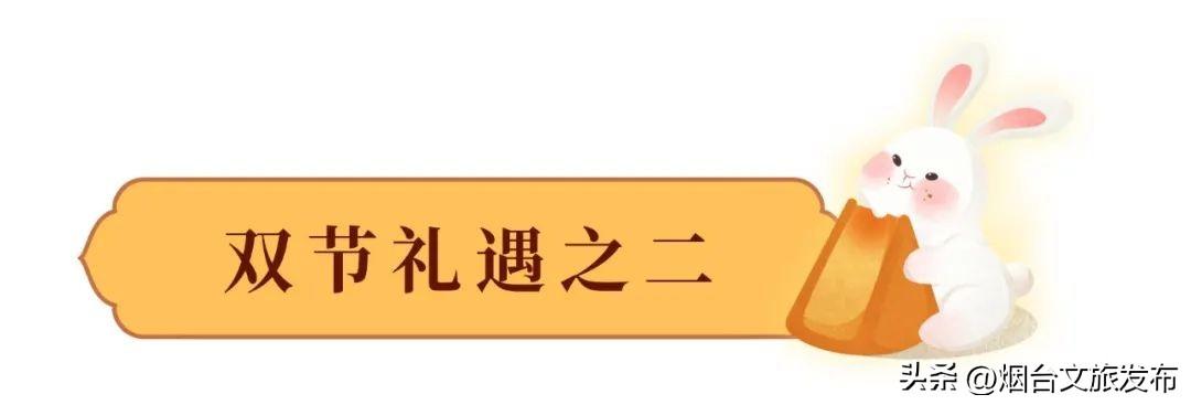 中国最顶级奇石博物馆_国家级奇石博物馆_中国哪家博物馆收藏奇石化石
