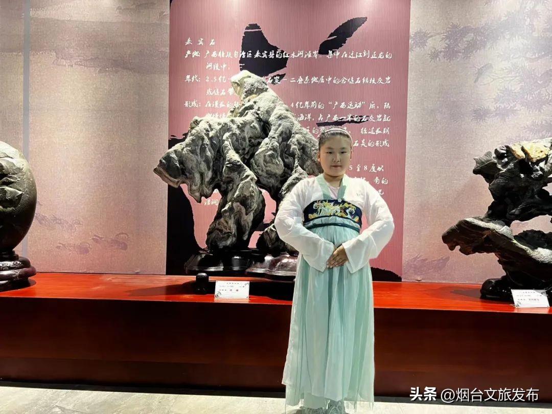 中国最顶级奇石博物馆_国家级奇石博物馆_中国哪家博物馆收藏奇石化石