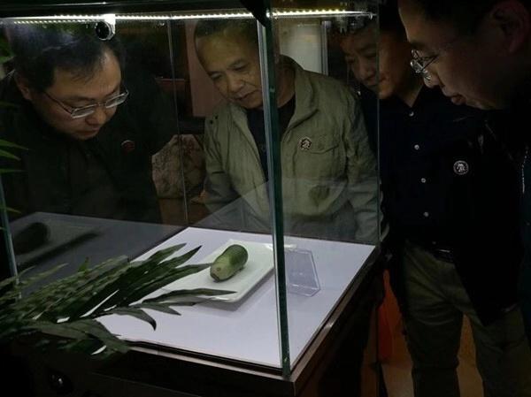 奇石白菜图片_白菜奇石图片高清_白菜奇石图片大全