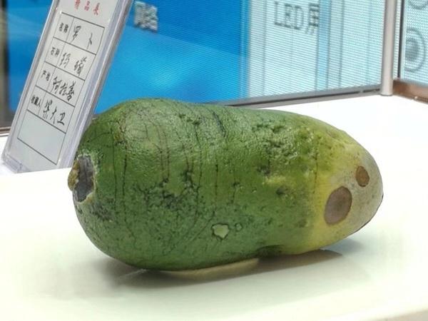 白菜奇石图片高清_奇石白菜图片_白菜奇石图片大全