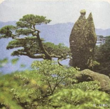 黄山的奇石有哪些