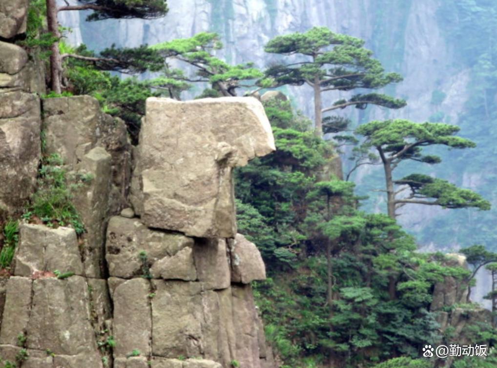 黄山石头奇石有哪些_黄山奇石的石头长什么样_黄山奇石有什么石头