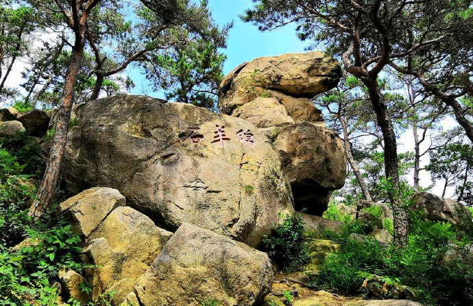 巨型泰山奇石_泰山的巨石_巨型泰山奇石图片
