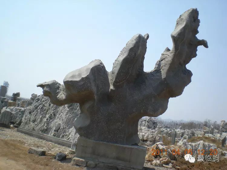 潍坊奇石市场_潍坊奇石市场地址_潍坊奇石市场和奇石城的区别
