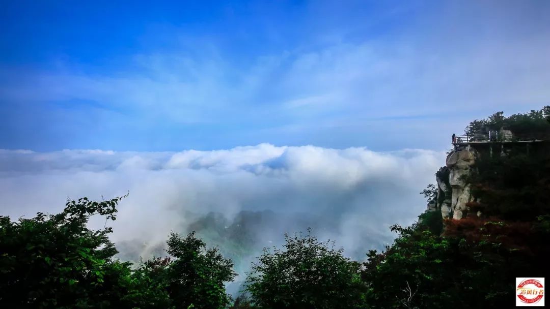 中华奇石馆门票多少_中华奇石园_中华奇石园在哪里