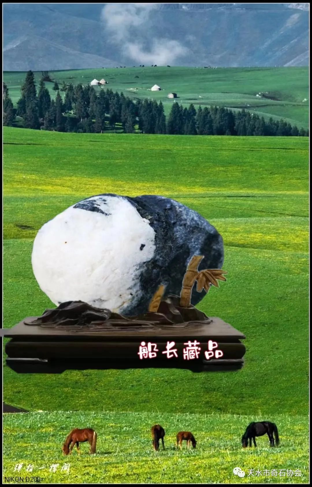 天地奇石里面是什么_天地奇石里面是什么完美世界_天地奇石里面是什么东西