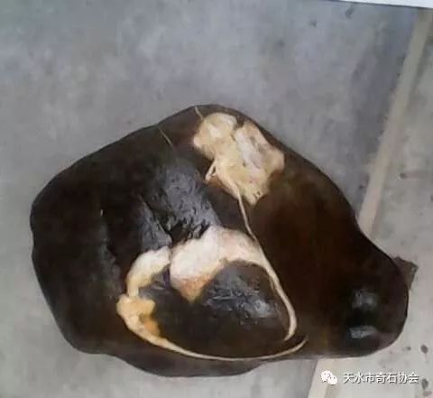 天地奇石里面是什么_天地奇石里面是什么东西_天地奇石里面是什么完美世界