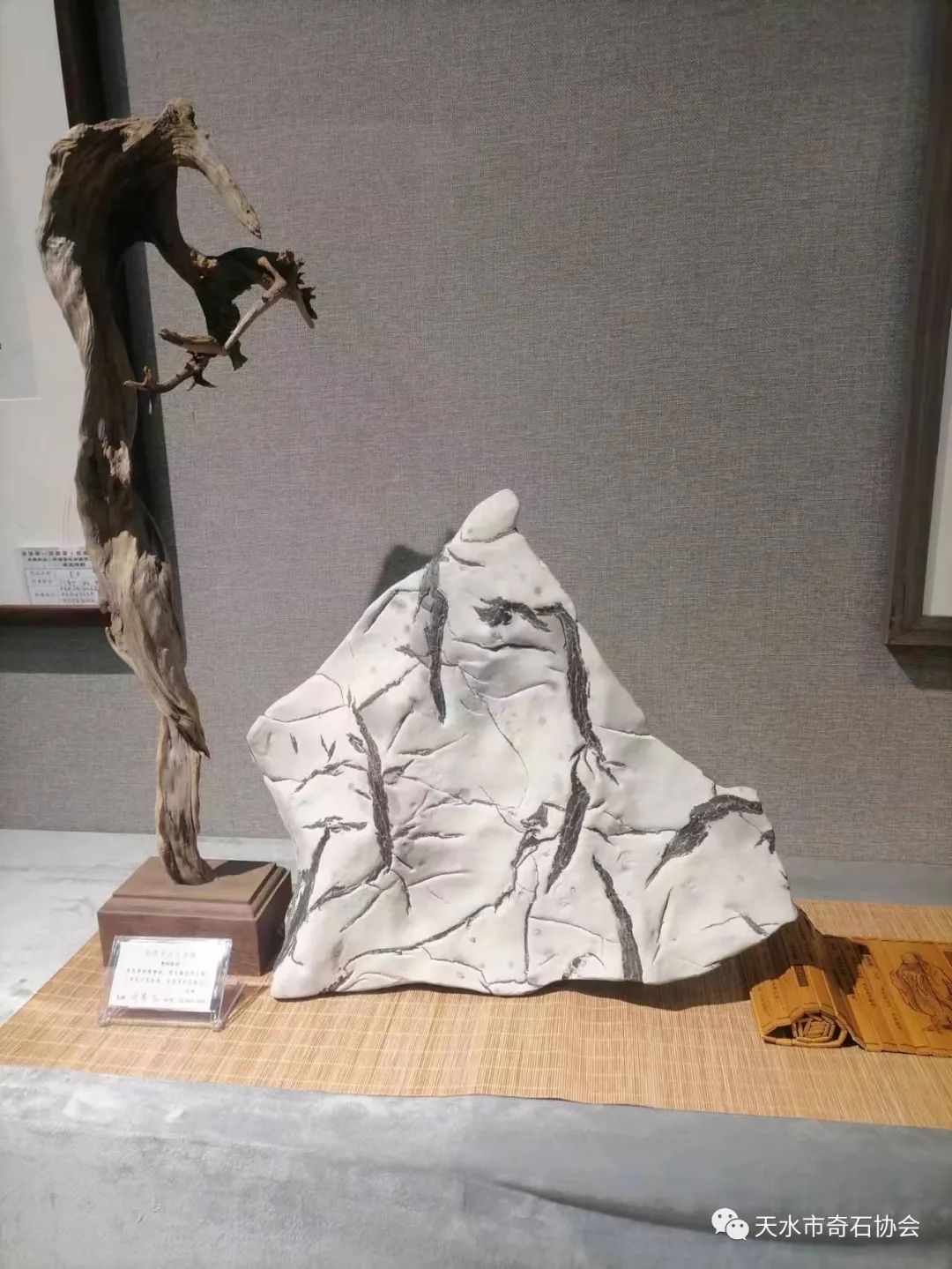 天地奇石里面是什么东西_天地奇石里面是什么_天地奇石里面是什么完美世界