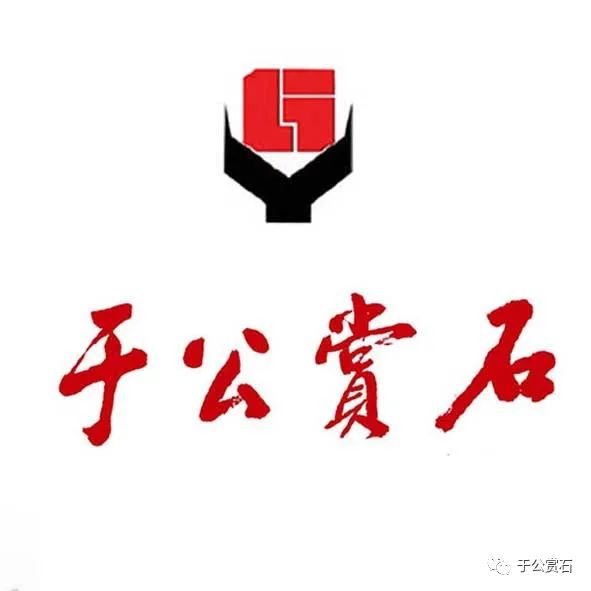 上海市观赏石协会召开换届选举大会