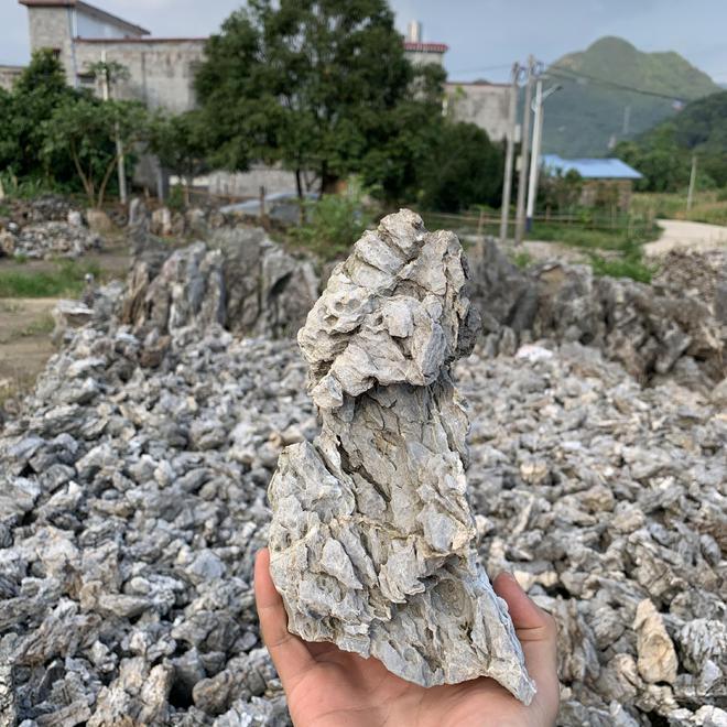 鱼缸奇石造景_鱼缸奇石造景图片大全_鱼缸奇石造景图片
